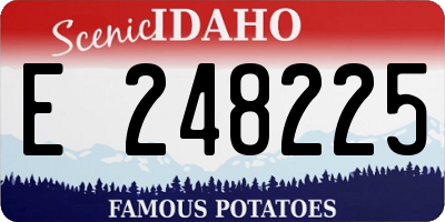 ID license plate E248225