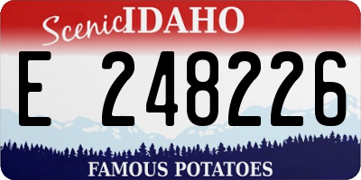 ID license plate E248226