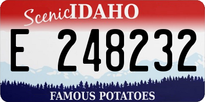 ID license plate E248232