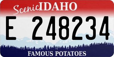 ID license plate E248234