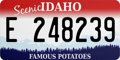 ID license plate E248239