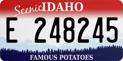 ID license plate E248245