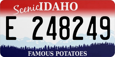 ID license plate E248249