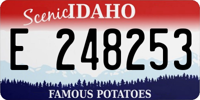 ID license plate E248253