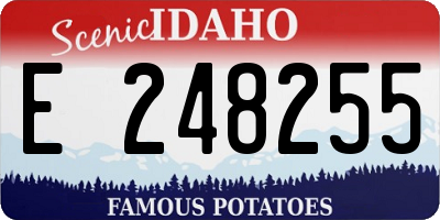 ID license plate E248255