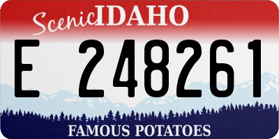 ID license plate E248261