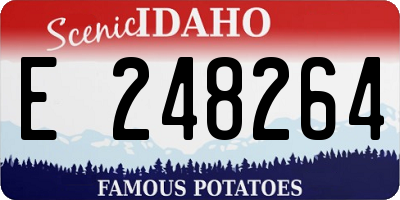 ID license plate E248264