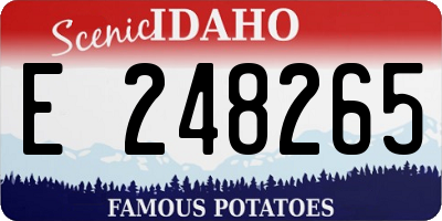 ID license plate E248265