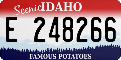ID license plate E248266