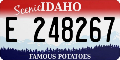 ID license plate E248267