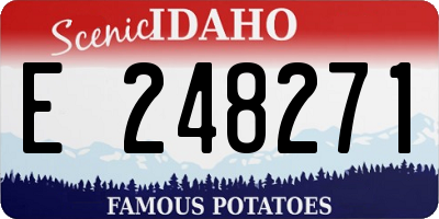 ID license plate E248271