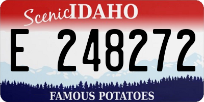 ID license plate E248272