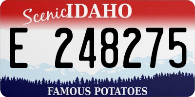ID license plate E248275