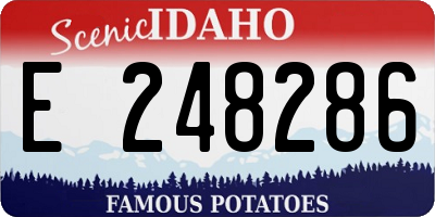 ID license plate E248286