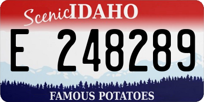 ID license plate E248289