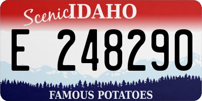 ID license plate E248290
