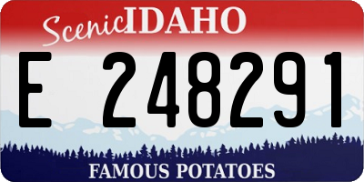 ID license plate E248291