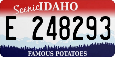 ID license plate E248293