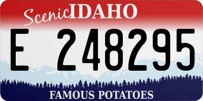 ID license plate E248295