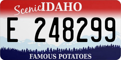 ID license plate E248299