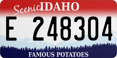 ID license plate E248304