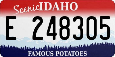 ID license plate E248305