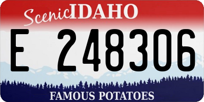 ID license plate E248306