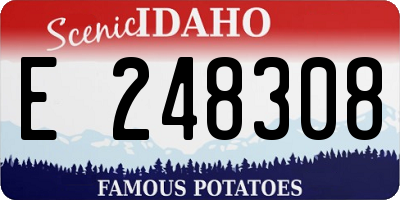 ID license plate E248308