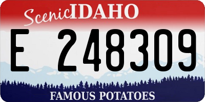 ID license plate E248309