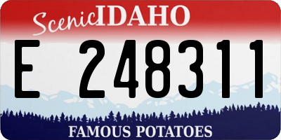 ID license plate E248311