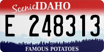 ID license plate E248313