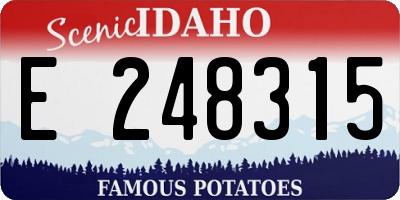 ID license plate E248315