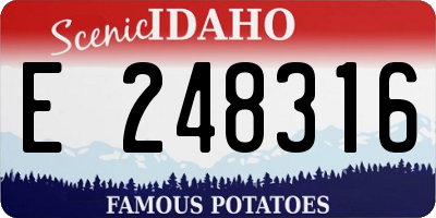 ID license plate E248316