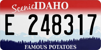 ID license plate E248317