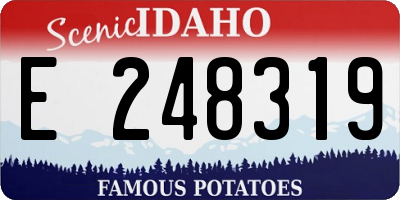 ID license plate E248319