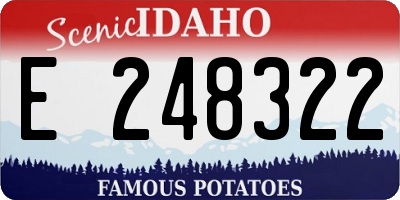 ID license plate E248322