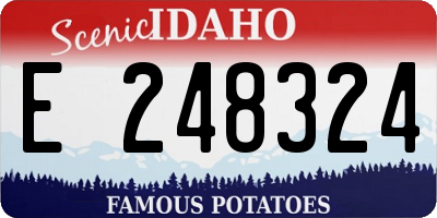 ID license plate E248324