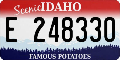 ID license plate E248330