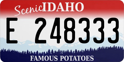 ID license plate E248333