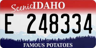 ID license plate E248334