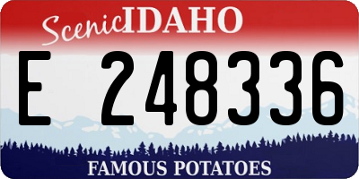 ID license plate E248336