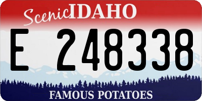 ID license plate E248338
