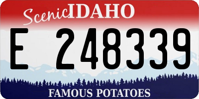 ID license plate E248339
