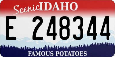 ID license plate E248344