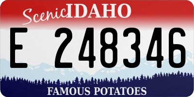 ID license plate E248346