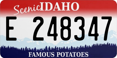 ID license plate E248347