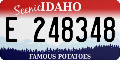 ID license plate E248348