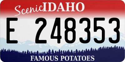 ID license plate E248353