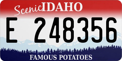ID license plate E248356