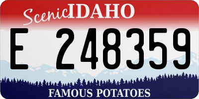 ID license plate E248359